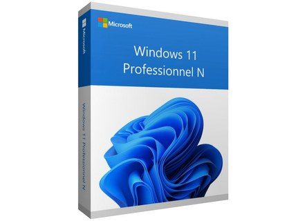 Licence Windows 11 pro