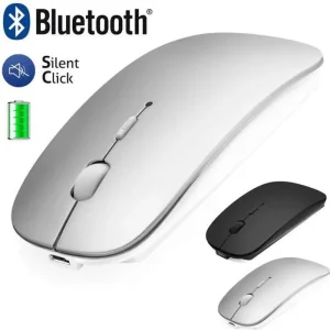 Souris pour ordinateur